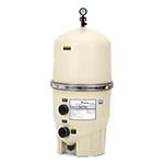 Pentair EC-180008 FNS Plus 48 DE Pool Filter | FNSP48
