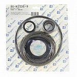 Pentair C Series Commercial Pool Pump Seal Kit 