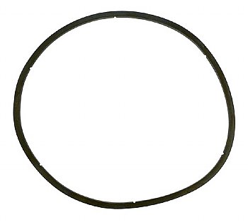 Pentair EQ Series Pool Pump Strainer Cover O-Ring | 350166