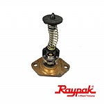 Raypak Digital ASME...