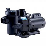 Jandy FloPro 1HP Pool and Spa Pump, 1.14THP | FHPM1.0